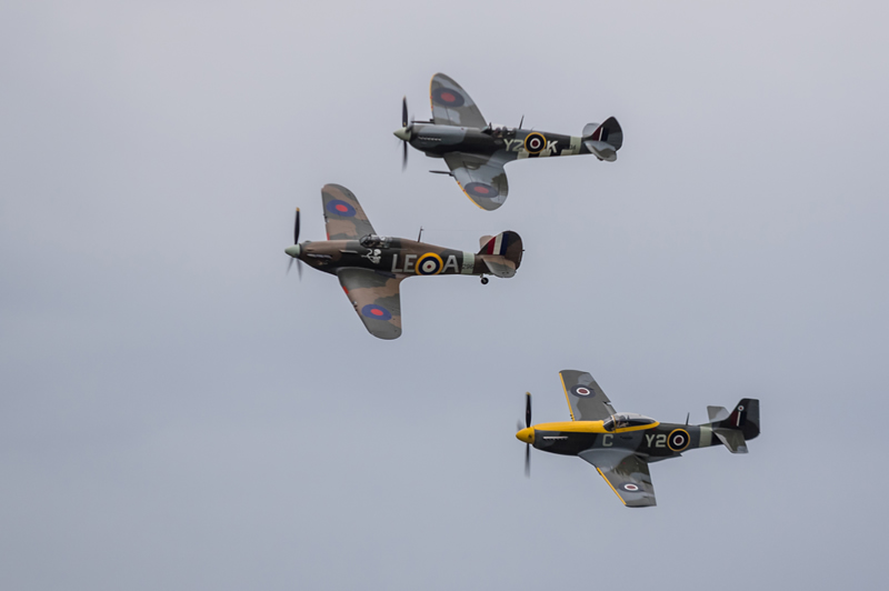 In Flight by Steve Tugwell